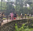 Solo Safari Siap Sambut Nataru dengan Segudang Keajaiban