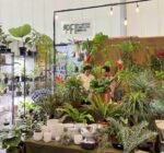 Surganya ‘Plant Parents” Kembali Hadir di FLOII Expo 2026